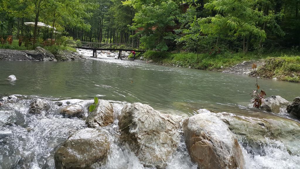Asina Motel Sapanca Dış mekan fotoğraf