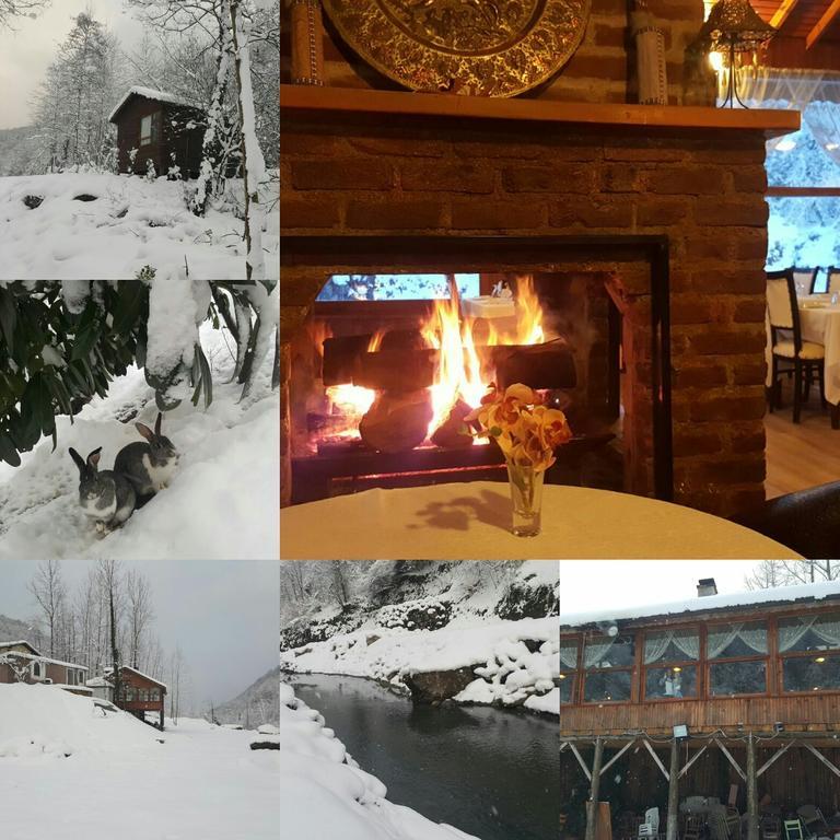 Asina Motel Sapanca Dış mekan fotoğraf