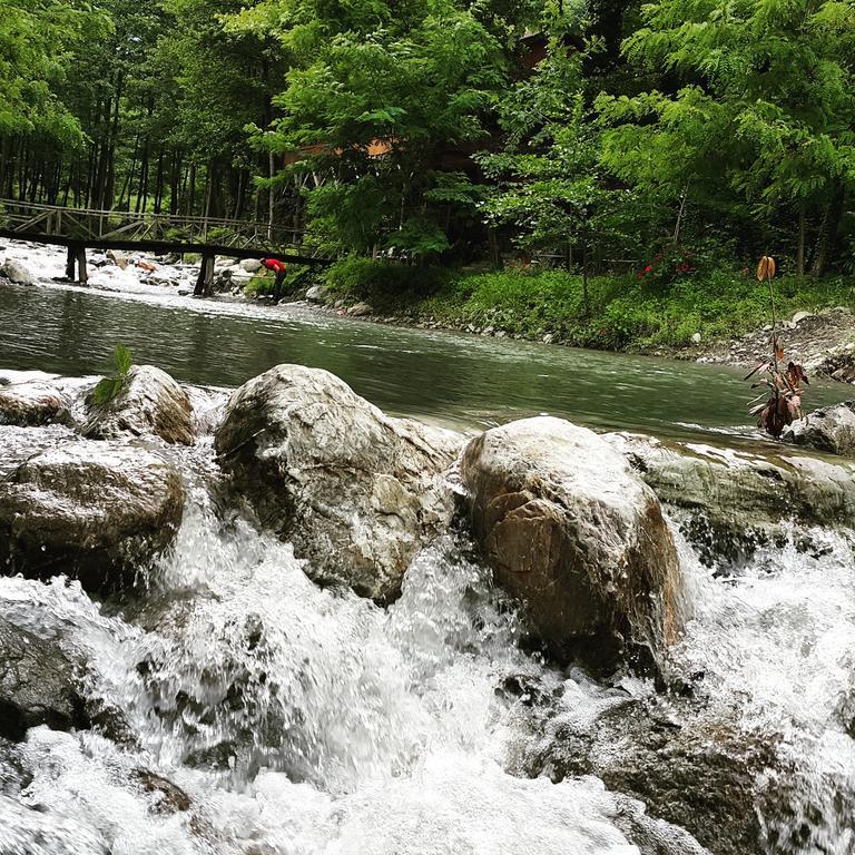 Asina Motel Sapanca Dış mekan fotoğraf